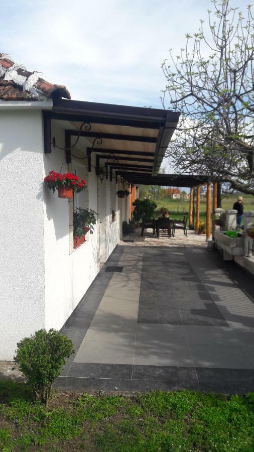 Pensions Airport Podgorica Exterior photo